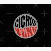  Circus Maximus, Travis Scott Tapestry Official Travis Scott Merch